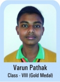 Varun-Pathak-Class-VII-Giold-Madel