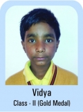 Vidya-Class-II-Gold-Madel