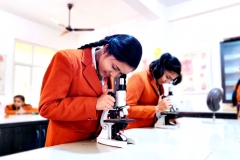biolab4