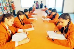 School library for girl