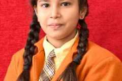 ANVI